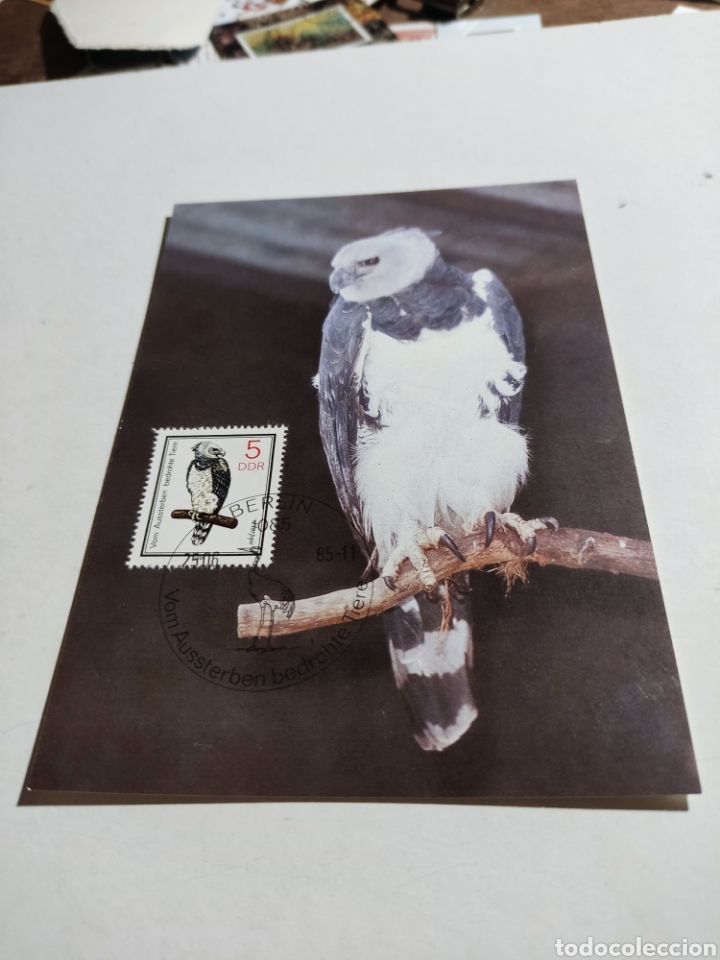 Sellos: Tarjeta m&aacute;xima DDR animales - Foto 1