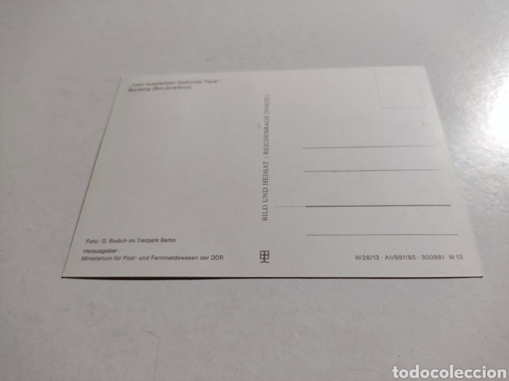 Sellos: Tarjeta m&aacute;xima DDR buey - Foto 2