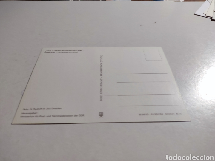 Sellos: Tarjeta m&aacute;xima DDR oso - Foto 2