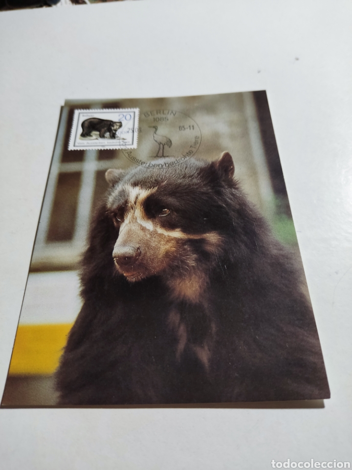 Sellos: Tarjeta m&aacute;xima DDR oso - Foto 1