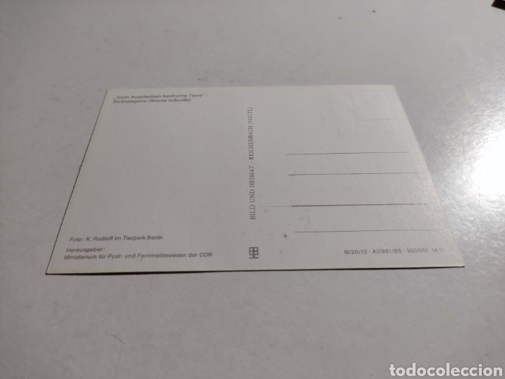 Sellos: Tarjeta m&aacute;xima DDR - Foto 2
