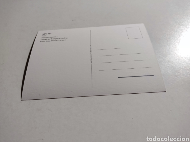 Sellos: Tarjeta m&aacute;xima liechtenstein flores - Foto 2