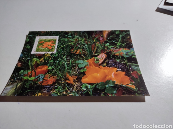 Sellos: Tarjeta m&aacute;xima liechtenstein flores - Foto 1