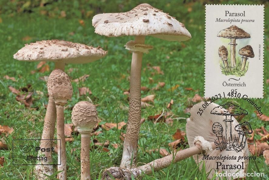 Sellos: Austria 2023 - Parasol carte maximum - Foto 1