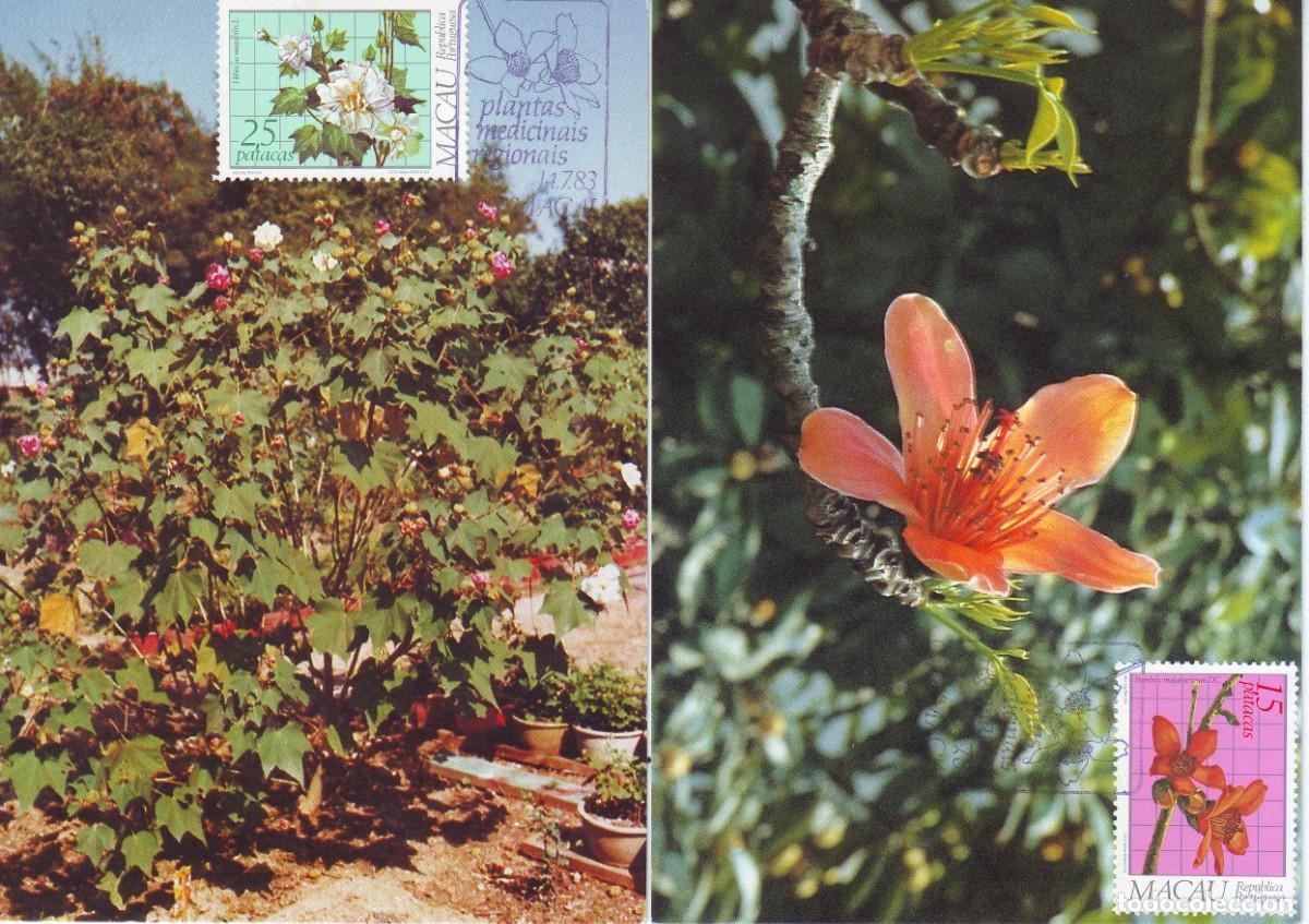Sellos: TARJETAS POSTALES DE MACAO - Foto 1