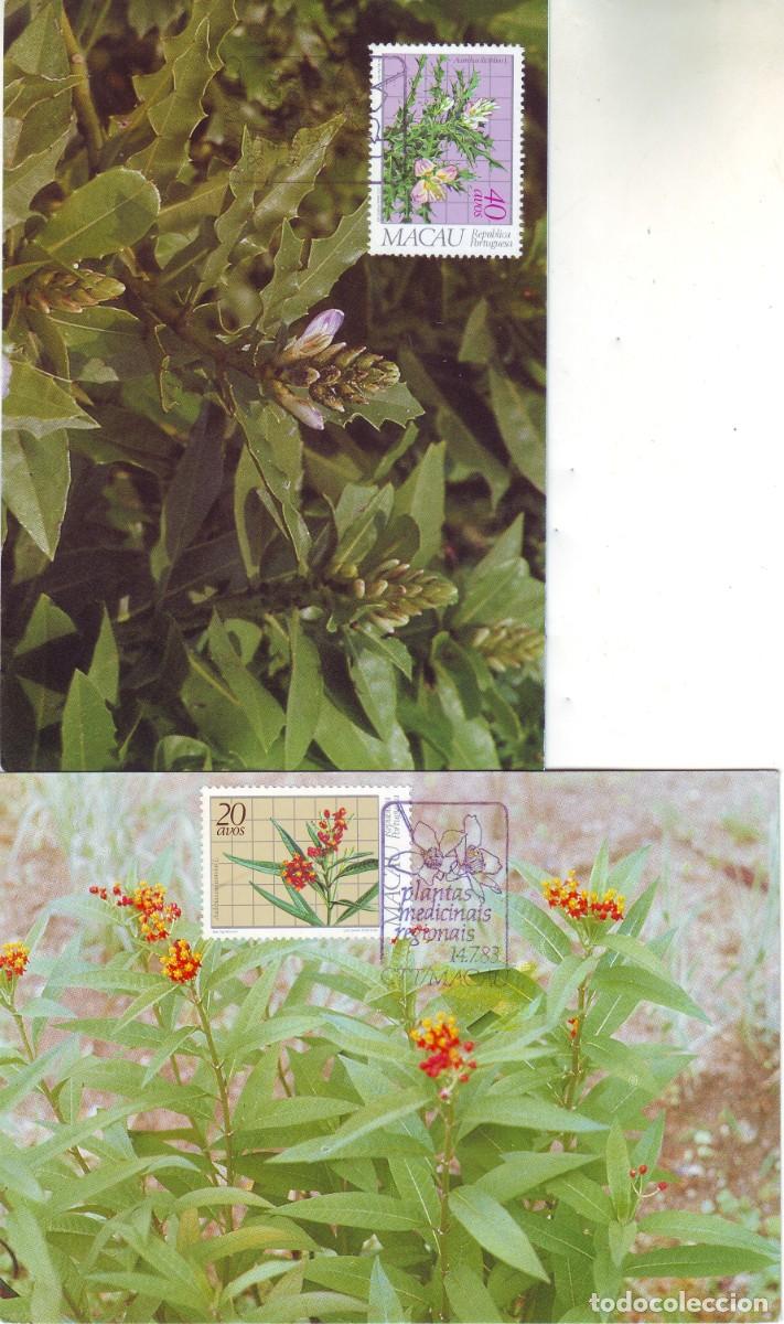 Sellos: TARJETAS POSTALES DE MACAO - Foto 1