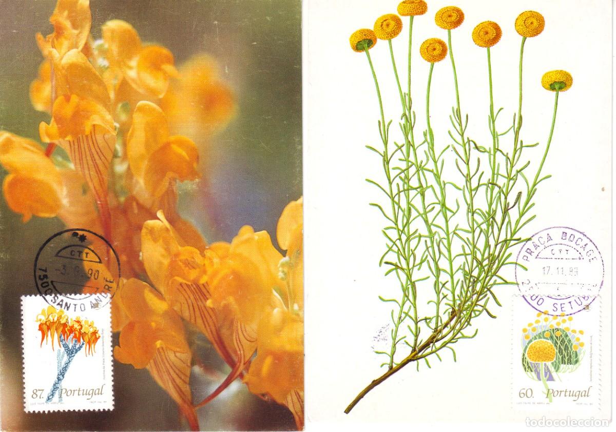 Sellos: TARJETAS POSTALES DE PORTUGAL - Foto 1