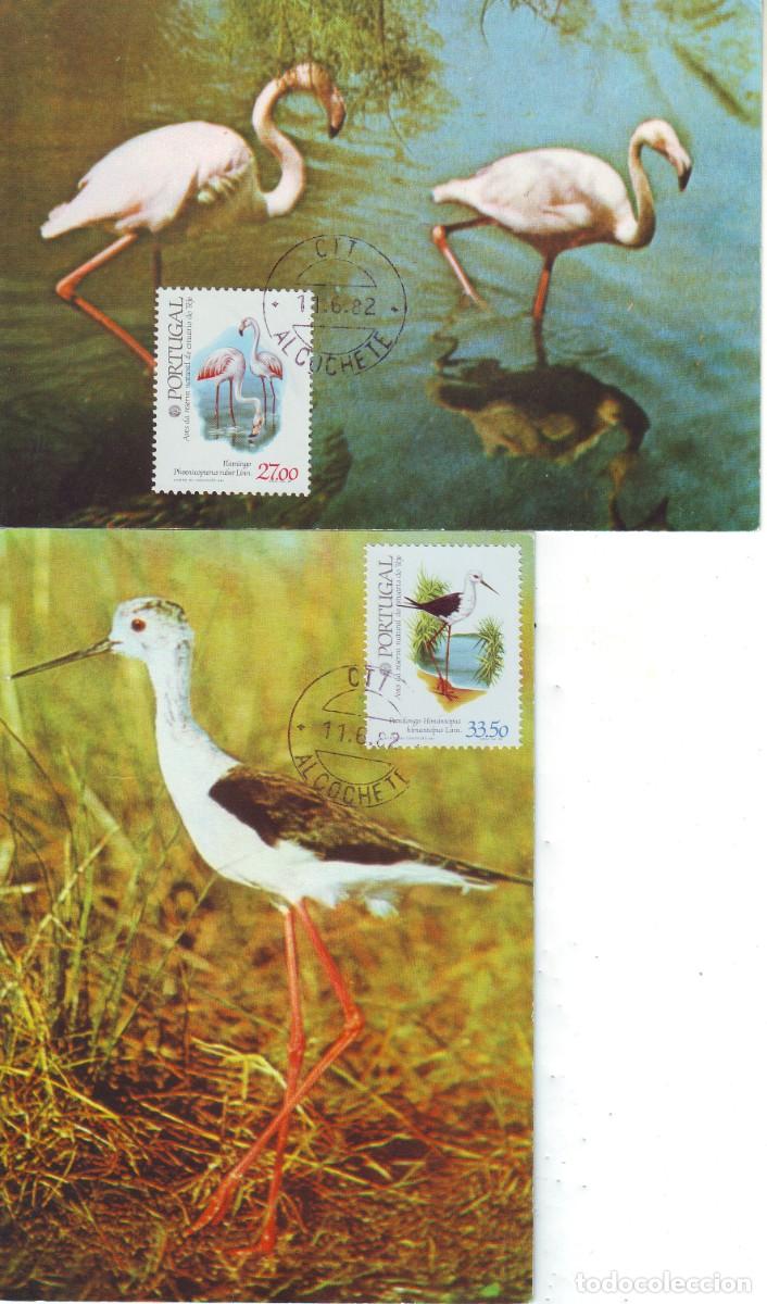 Sellos: TARJETAS POSTALES PORTUGAL - Foto 1