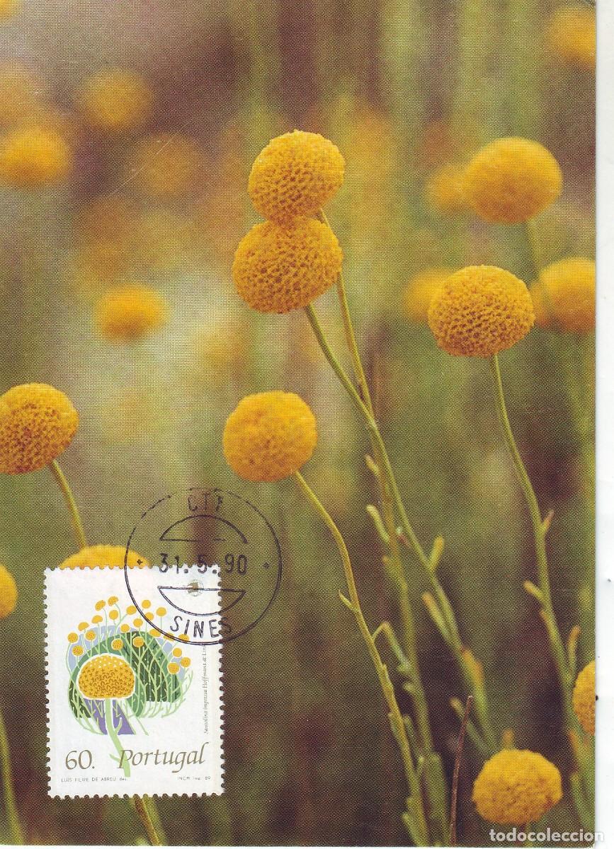 Sellos: TARJETA POSTAL DE PORTUGAL - Foto 1