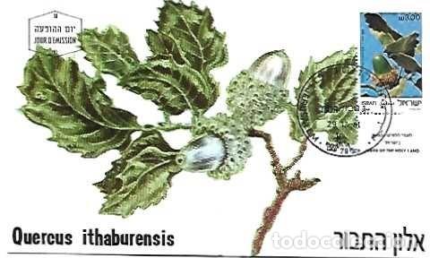 Sellos: Israel & Maxima, Quercus ithaburensis, Jerusalem 1981 (2889) - Foto 1