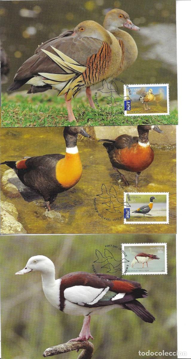 Sellos: &rdquo;Tarjeta M&aacute;ximi Australiana. Aves Acu&aacute;ticas&rdquo; Lote de 4 emitidas el 8 Marzo 2012