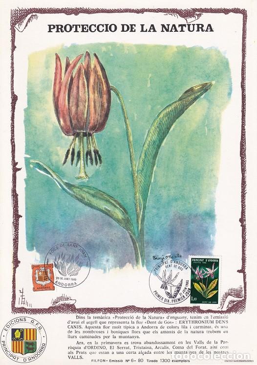 Briefmarken: Andorra 1980 N&ordm; 6 Tirada 1300 - Protecci&oacute; de la Natura Dent de G&oacute;s Diente de perro Erythronium dens