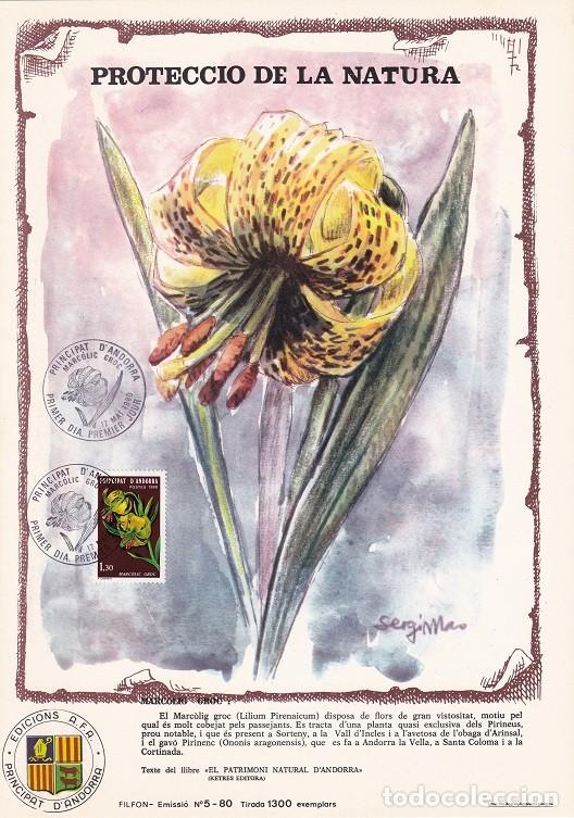 Briefmarken: Andorra 1980 N&ordm; 5 Tirada 1300 - Flora - Marc&ograve;lig groc - Lila pirenaica - Lilium pyrenaicum - Sorteny