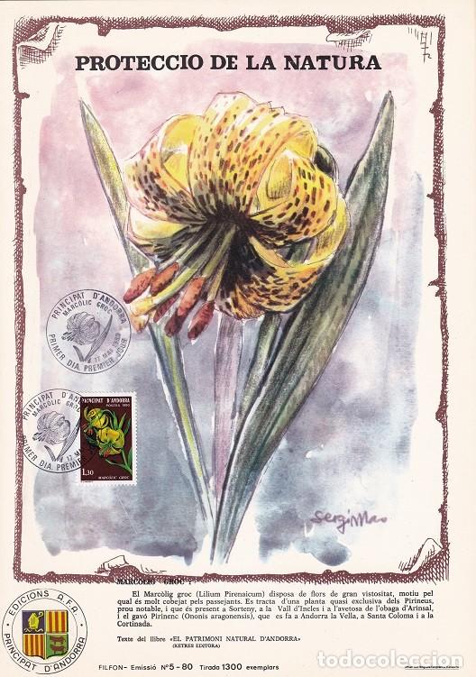 Briefmarken: Andorra 1980 N&ordm; 5 Tirada 1300 - Flora - Marc&ograve;lig groc - Lila pirenaica - Lilium pyrenaicum - Sorteny