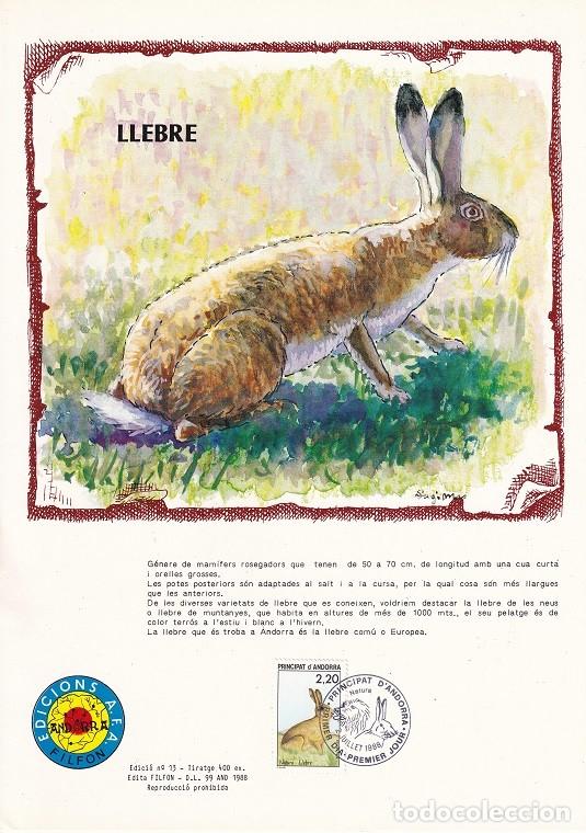 Timbres: Andorra 1988 N&ordm; 13 Tirada 400 - Protecci&oacute;n de la Naturaleza - Animales - Llebre - Liebre