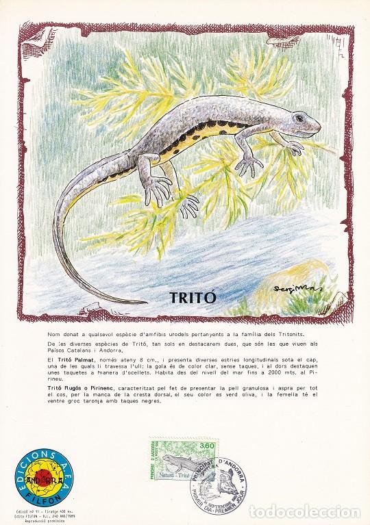 Selos: Andorra 1989 N&ordm; 11 Tirada 400 - Protecci&oacute;n de la Naturaleza - Fauna - Animales - Trit&oacute; - Trit&oacute;n