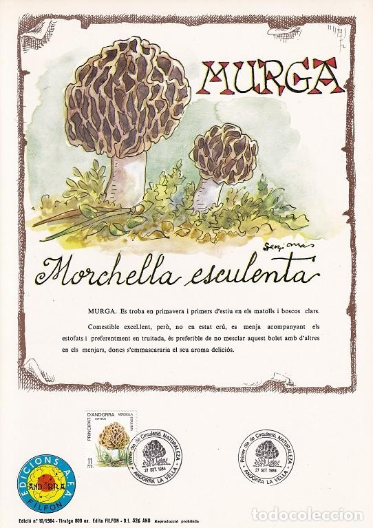 Briefmarken: Andorra 1984 N&ordm; 10 Tirada 800 - Bolets Murga Morchella esculenta - Setas Murga Morchella esculenta