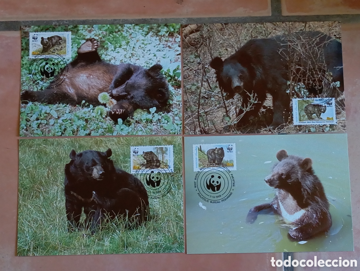 Briefmarken: 4 Tarjetas M&aacute;ximas Pakist&aacute;n 1989 WWF Oso Negro del Himalaya Filatelia Caza