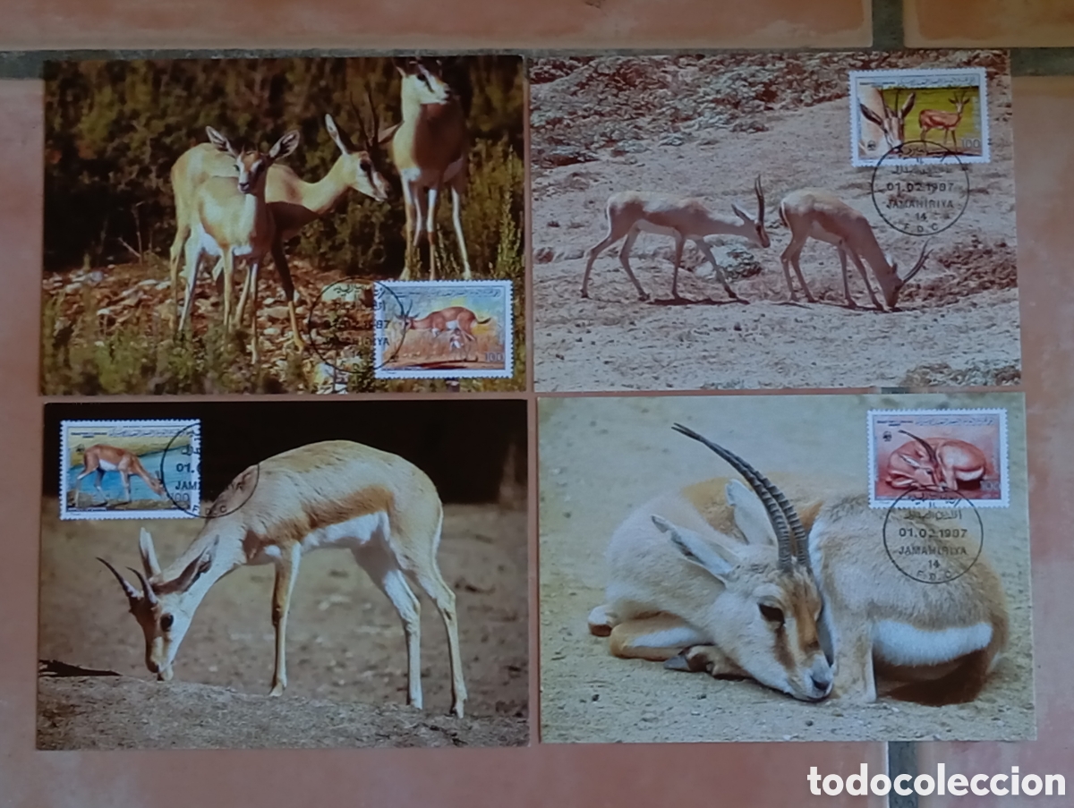 Briefmarken: 4 Tarjetas M&aacute;ximas Libia 1987 WWF Gacela de las Dunas Filatelia Naturaleza