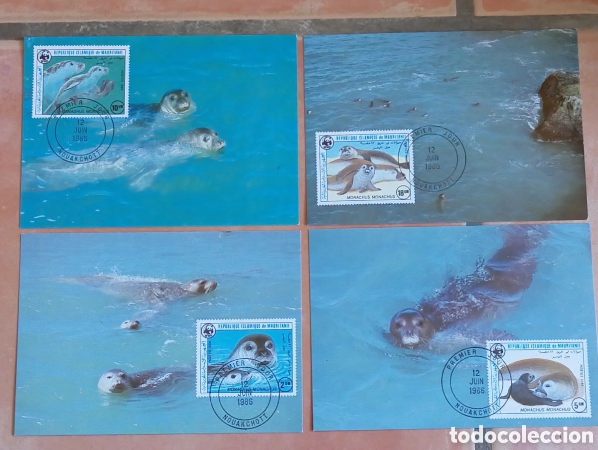 Briefmarken: 4 Tarjetas M&aacute;ximas Mauritania 1986 WWF Foca Monje Filatelia Fauna Marina