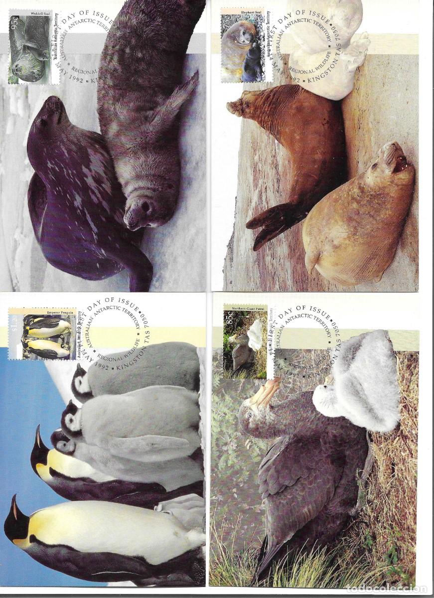Sellos: &rdquo;Territorios Ant&aacute;rticos Australianos&rdquo; Lote de 4 Tarjetas M&aacute;ximas Australianas, emitidas en Mayo 1992