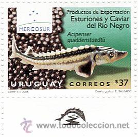 Sellos: 196-URUGUAY-2009-CRIA DE CENTURI&Oacute;N - Foto 1