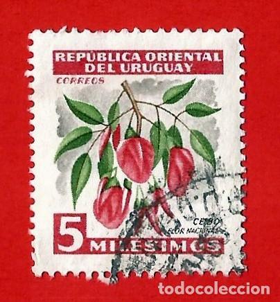 uruguay. 1954. ceibo. flor nacional - Compra venta en todocoleccion