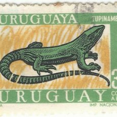 Sellos: ❤️ SELLO DE URUGUAY: GOLDEN TEGU (TUPINAMBIS TEGUIXIN), 1970, 30 PESO URUGUAYO ❤️