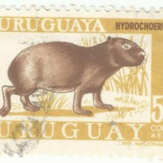 Sellos: ❤️ SELLO DE URUGUAY: GRAN CAPIBARA (HYDROCHOERUS HYDROCHAERIS), 1970, 50 PESO URUGUAYO ❤️