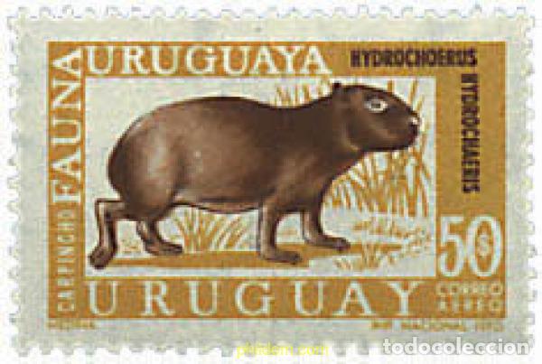 Sellos: 234984 MNH URUGUAY 1970 FAUNA AUTOCTONA