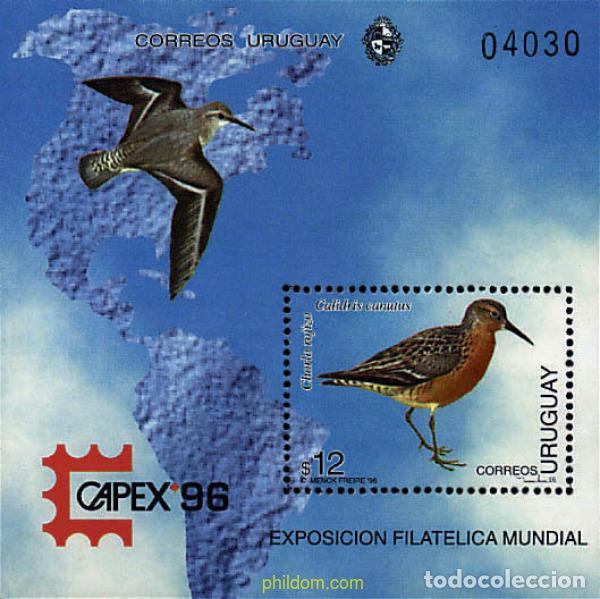 Sellos: 37267 MNH URUGUAY 1996 CAPEX 96. EXPOSICION FILATELICA INTERNACIONAL