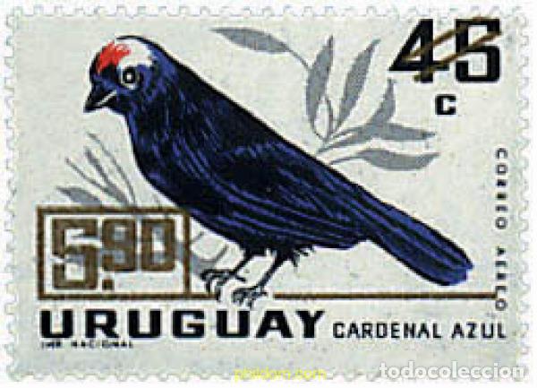 Sellos: 295073 MNH URUGUAY 1967 PAJARO INDIGENA