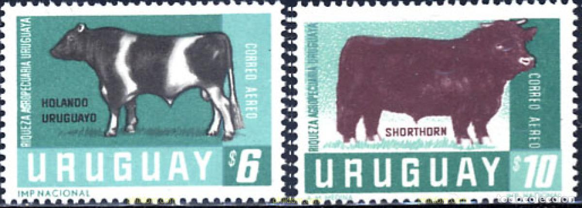 Sellos: 235017 MNH URUGUAY 1966 BUEYES