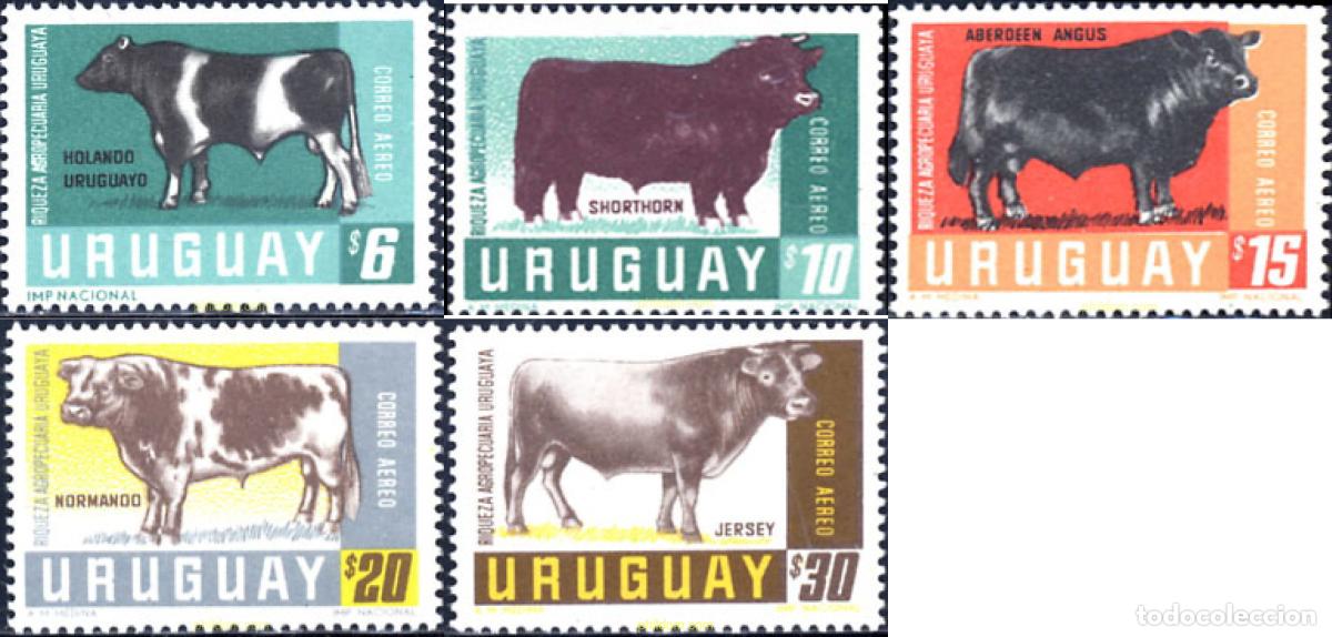 Sellos: 625813 MNH URUGUAY 1966 BUEYES