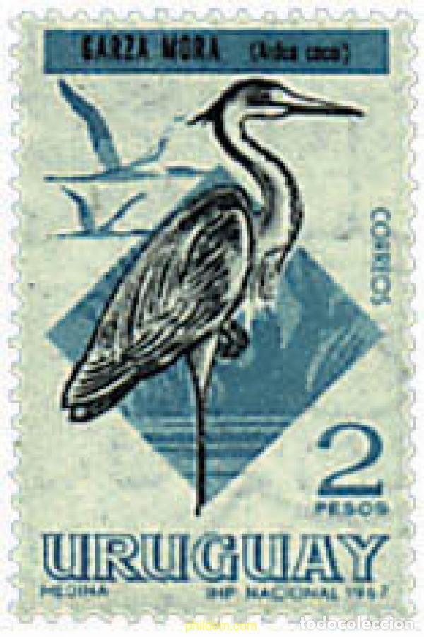 Briefmarken: 686985 MNH URUGUAY 1968 AVES