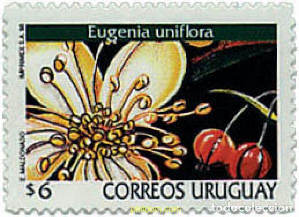 Sellos: 92611 MNH URUGUAY 1998 FLORES DE URUGUAY