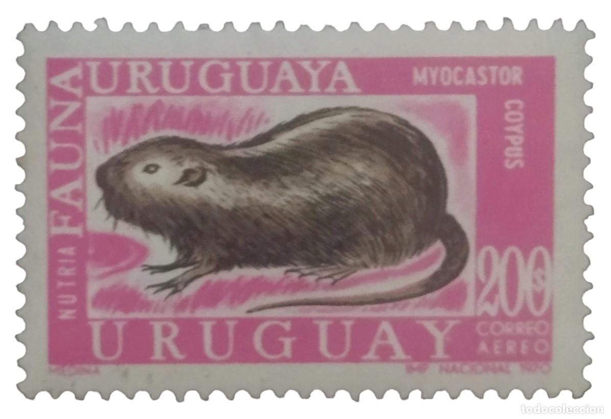 Sellos: URUGUAY 1971 Fauna uruguaya. A&eacute;reo. NUEVO - MNH **