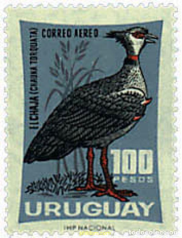 Stamps: 31705 MNH URUGUAY 1966 AVE MO&Ntilde;UDA