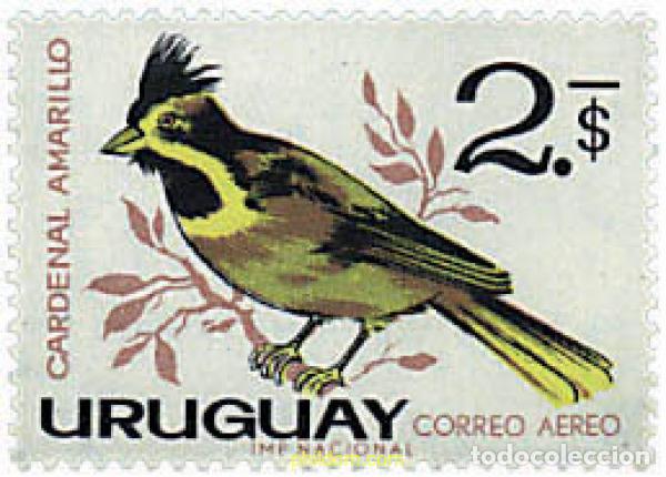 Stamps: 688839 MNH URUGUAY 1962 AVES AUTOCTONAS