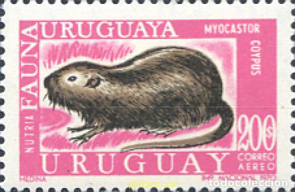 Briefmarken: 28706 MNH URUGUAY 1971 NUTRIA