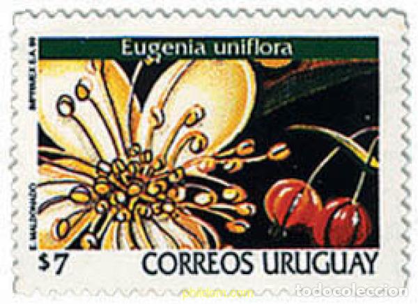 Sellos: 92613 MNH URUGUAY 1999 FLORES DE URUGUAY