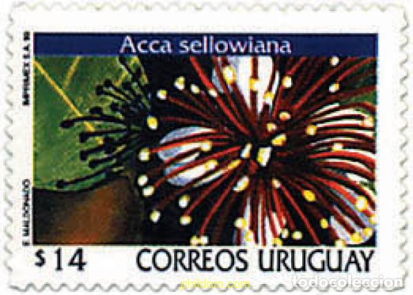 Sellos: 92615 MNH URUGUAY 1999 FLORES DE URUGUAY