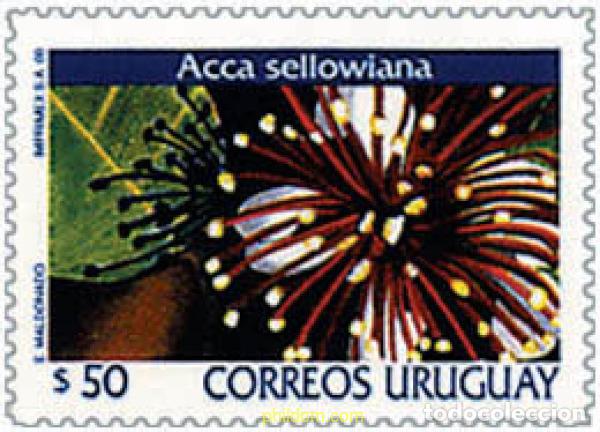 Selos: 92618 MNH URUGUAY 2000 FLORES DE URUGUAY