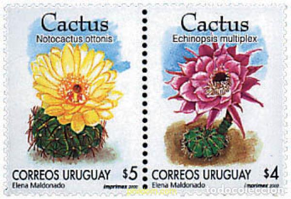Selos: 4919 MNH URUGUAY 2000 CACTUS