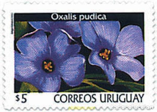 Timbres: 95539 MNH URUGUAY 2002 FLORES DE URUGUAY