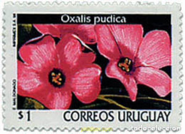 Stamps: 92621 MNH URUGUAY 1998 FLORES DE URUGUAY