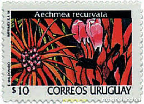 Stamps: 92612 MNH URUGUAY 1998 FLORES DE URUGUAY