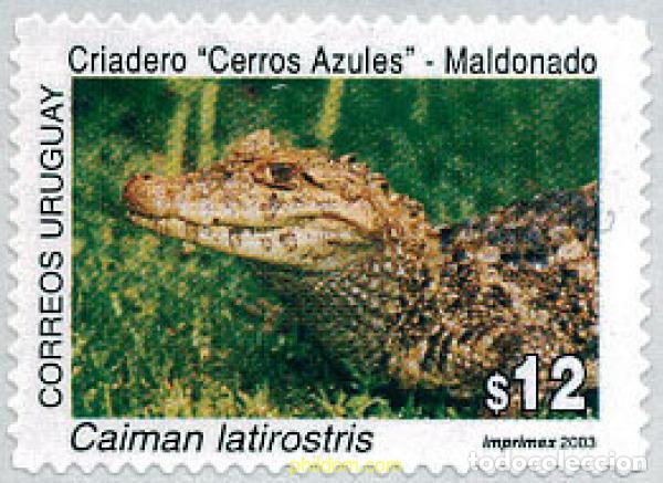Timbres: 126237 MNH URUGUAY 2003 CRIADERO CERROS AZULES