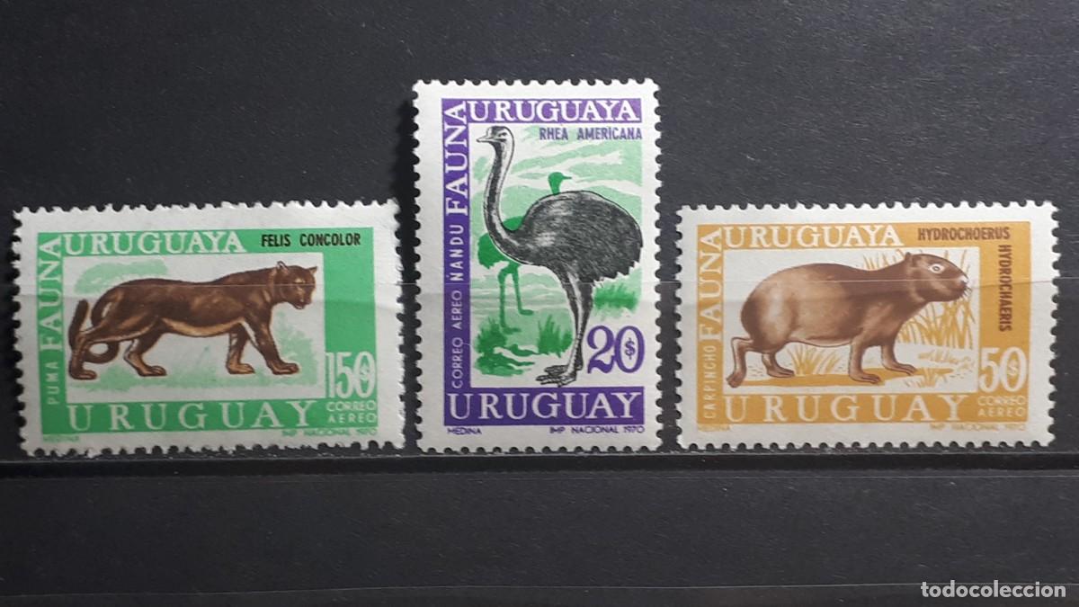 Sellos: URUGUAY. FAUNA. A&Ntilde;O 1970. **. EDIFIL a&eacute;reo 360, 362, 364.