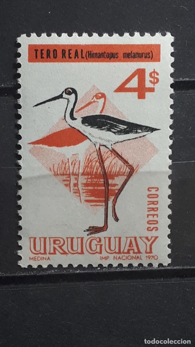 Sellos: URUGUAY. AVES. A&Ntilde;O 1968. **. EDIFIL 765A